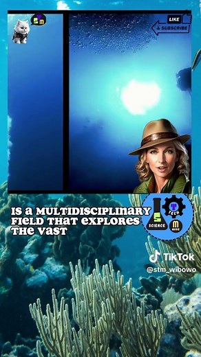 INTRODUCTION TO OCEANOGRAPHY! | W/Eva