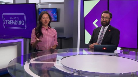 What's Trending: Bad Bunny, Drake's dismissed lawsuit and weather-predicting caterpillars