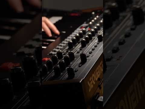 Sequential Prophet-6 ARPS #synth #arpegiator #ambient #electronicmusic