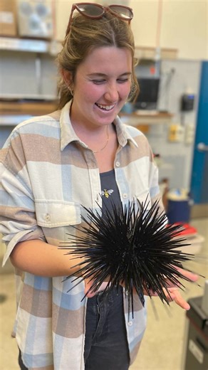 7.1K views · 71 reactions | Meet Monique - she's a Master of Marine...