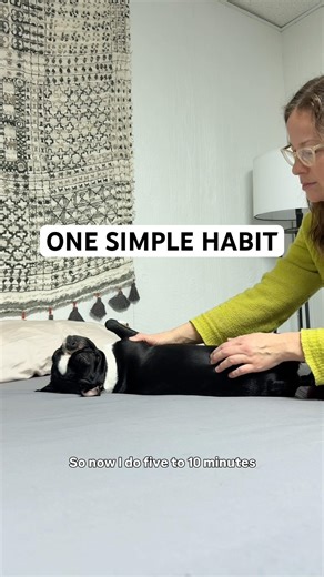 One Thing I Do to Help My Boston Terriers Age Better