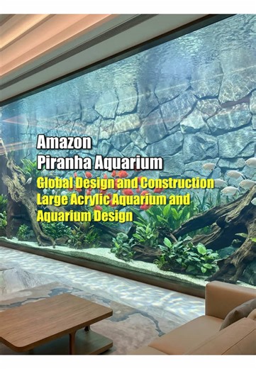 Custom Large Acrylic Aquarium Design Ideas