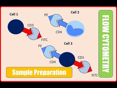 Flowcytometry Basics - Sample Preparation