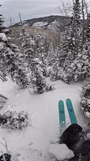 GoPro Snow on Instagram: "All gas, no brakes. Top to bottom, proper 🤯 @studebakerhawk lacing up a challenging line we may never stop watching. Speaking of challenges, the #GoProSnow Challenge is BACK and you know what to do. Submit your best photos, videos, ski clips, or craziest moments from this season to GoPro.com/Awards or upload via the Quik App 🫡 Get selected. Get rewarded. As long as it’s in the snow, we want to see it! #GoPro"