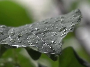 59K views · 330 reactions | A MOMENT OF ZEN: This one-minute breathing and mindfulness exercise is scientifically shown to reduce stress and improve the immune system. Repeat as necessary. | UCSF | Facebook