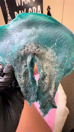 ✨ Want to train with the creator of the Horseshoe Brazilian Method™? ✨ I offer multiple training options to fit your schedule and learning style: • In-Person Training – Hands-on, live demos, real results • Online 1:1 Training – Learn the foundation from anywhere • 4-Week Boot Camp – Deep dive, live demos, skincare social media strategy Whether you’re a beginner or ready to level up, I’ve got a training option for you. 📩 DM me “TRAINING” for details #waxdayspa #waxtraining #brazilianwax