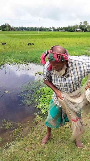 7.9K views · 82 reactions | Amazing Fishing in Village | Rainbow Job Academy | Facebook