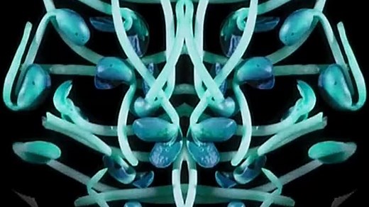 Baby Einstein - Baby Mozart - Music Festival in Slow Voice