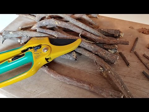 How to use Liquorice Root - Keto Basics