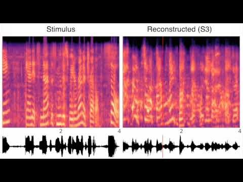 Sound reconstruction from human brain activity (Park et al., 2023), short version