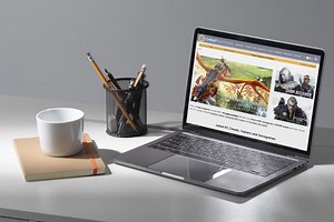 Cheat Like a Champ With This Cheat Happens Latest PC Cheat Codes: Premium Lifetime Subscription