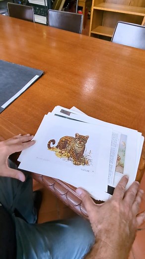 The New York Public Library on Instagram: "Jay is back to show you where to find the @nyplpicturecollection at the Library. Since its creation in 1915, the Picture Collection has been an incredible visual resource for artists, illustrators, designers, teachers, students, and general researchers. With a library card you can take home up to 60 images at a time, or use the free scanners on site."