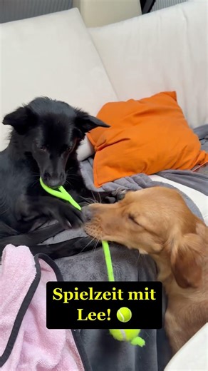 Wer sagt, dass man mit Handicap nicht reisen kann? 🚐💨