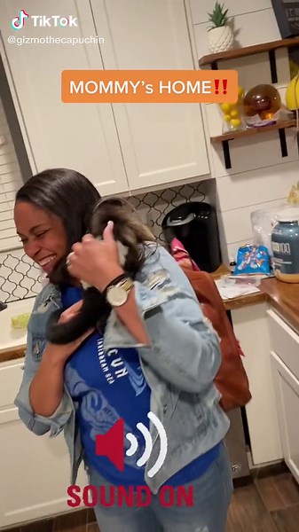 Gizmo goes nuts when his mom gets home! #monkeys #VenmoSpringBreak #capuchin #foryoupage #fyp
