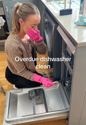 Overdue Dishwasher Deep Clean: Remove Grime & Bad Odours