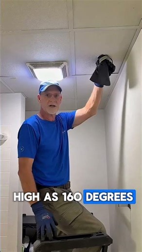 Why Heat Is the Most Effective Way to Eliminate Bed Bugs—Fast and Safe