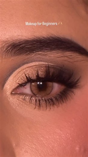 Kaleeza / Eye Makeup | Brow & Grey Cut Crease Makeup Tutorial for Beginners 🤎🖤 #cutcrease #cutcreaselook #eyemakeup #makeuptutorial #viral #makeup #fyp... | Instagram