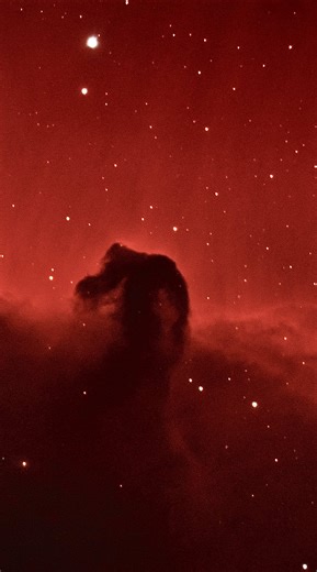 The Horsehead Nebula. This was a live stack with my Meade lx200gps 10”. Not processed! Just a little cropping and a desaturation for one image. #space #telescope #astronomy #astro #nebula