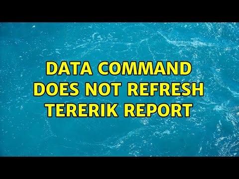 Data command does not refresh Tererik report