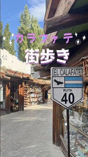 【アルゼンチン】氷河の街カラファテ❄️