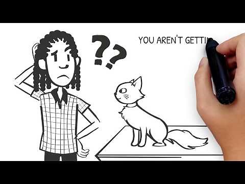 Spectrum Veterinary | Allergy Testing | Animal Health