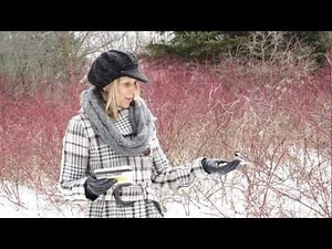 All the Namaste Yoga Episodes and One List