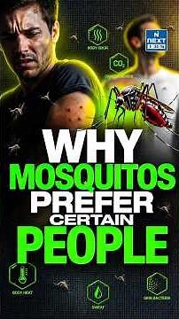 Why Do Mosquitoes Bite Some People More? The Science Behind Mosquito Attraction Explained | NEXT IAS