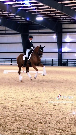 #horse #dressage #tempichanges #horses #horsesoftiktok #equestrian