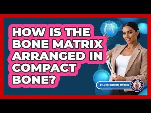How Is The Bone Matrix Arranged In Compact Bone?