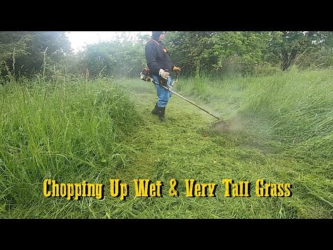 Cutting Matted Tall Grass | Stihl FS-131 String Trimmer #Stihl #Satisfying