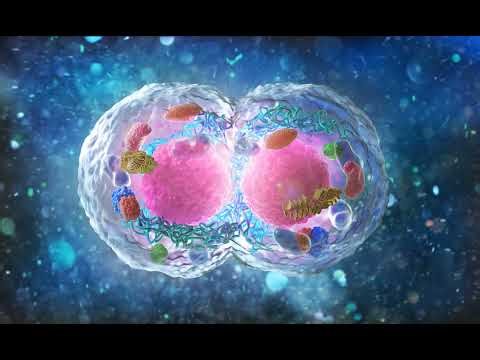 Irreducible Complexity: Michael Behe Breaks Down a Key ID Concept