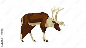 Male deer icon animation best on white background for any design