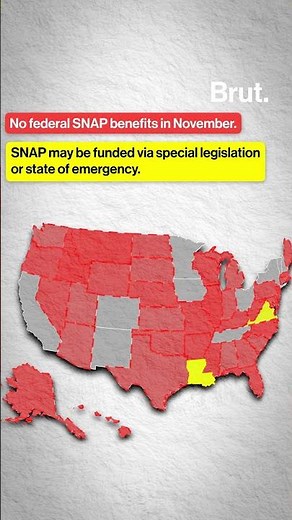Federal SNAP benefit distribution by state starting November 1st amidst the shutdown.
