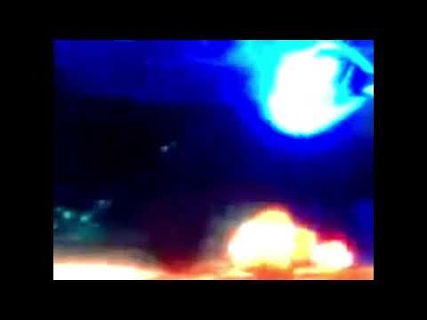 Finding Nemo Inside The Whale