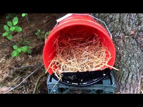 How To Make a Chicken Nesting Box Using a 5 Gallon Bucket