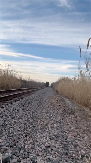Train going over bridge ￼￼