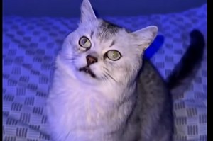 3D GAME - Free Addicting Game ★★★★★