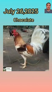 17K views · 569 reactions | July 26,2025 Chocolate.#Enped.#colorcodingguidelines. | Enped | Facebook