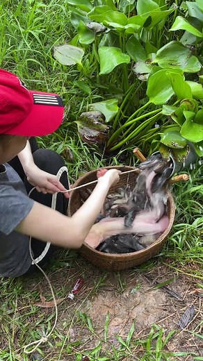 Amazing fish trapping system with primitive technology 😱 #fishing