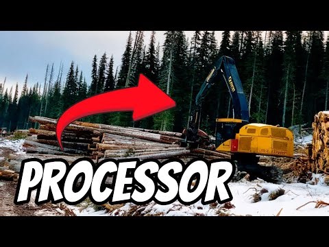 How Do They Do It? (Logging Compilation #2)