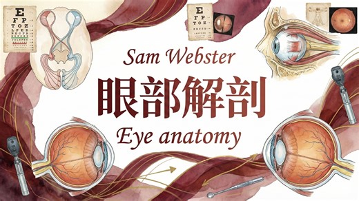 Sam Webster【中英⚡眼部解剖|Eye anatomy】