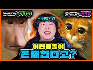 [이거알아-동물]세상에서 제일 못생긴 동물🐸과 세상에서 가장 이쁜 동물🦋 ?! ㅋㅋㅋ 고양이가 사람의 영혼을 빨아들인다고?