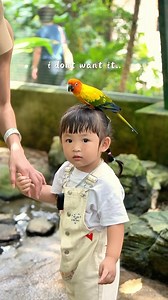 3.1K reactions · 88 shares | 重复看了200次 藍藍藍 原来妹妹平时看我们的视角是长这样的 哈哈哈...