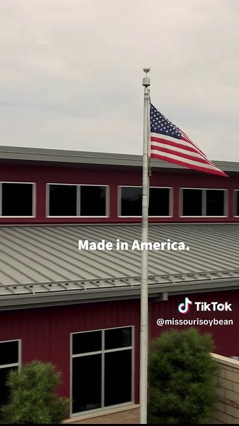 Missouri Soybean on TikTok