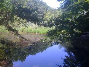 Macfadden’s Pond: The Walden Pond of Coytesville