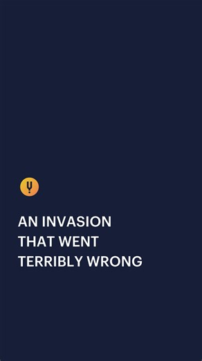Curiosity Stream on Instagram: "The cane toad is one of the most disastrous biological blunders in Australian history. Originally introduced to Queensland in 1935 to control beetles on sugarcane plantations, the toads didn't eat the beetles. Instead, they quickly multiplied and became a toxic, invasive menace. These massive, poisonous amphibians have ravaged native ecosystems. They secrete a potent toxin from glands on their shoulders that is lethal to nearly any predator that tries to eat them—