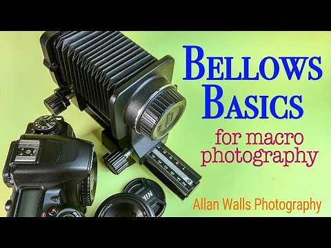 Bellows Basics for Macro Photography