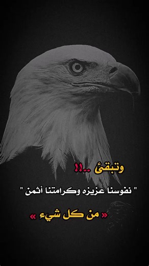 ‏#مساء_الخير #اكسبلور #o