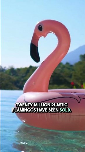 The Plastic Flamingo Phenomenon
