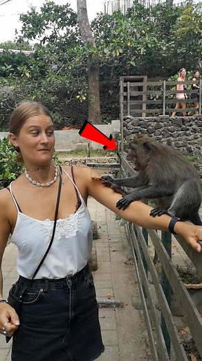 Cheeky Monkey Being WAY Too Cheeky 😂 | Being Real with Attitude